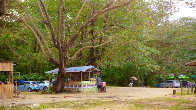 Winifred Beach