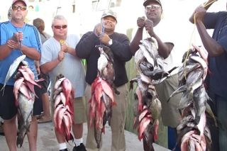 Mid-Day Deep Sea Fishing in Myrtle Beach