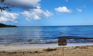 Winifred Beach