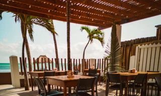 Tropical Escape Restaurant & Bar