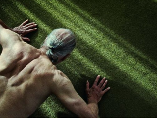 Shorts Program: Black Sheep