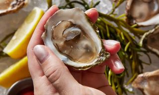 Oyster House Philadelphia