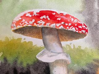 Watercolour Mushrooms *NEW*