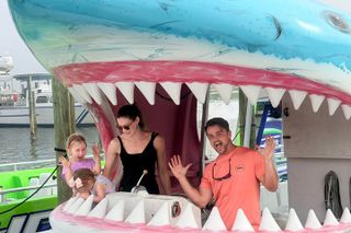 Shark Boat Destin Dolphin Watch and Sunset Cruise
