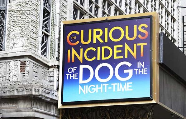 The Curious Incident of the Dog in the Night-Time