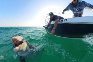PCB Prestige Private Dolphin & Snorkel Tours