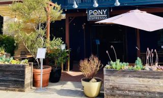 Pony Cocktails + Kitchen