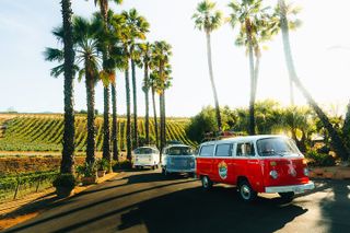 VW Bus 2-Stop Wine Tour Temecula - Retro Cali Vibes