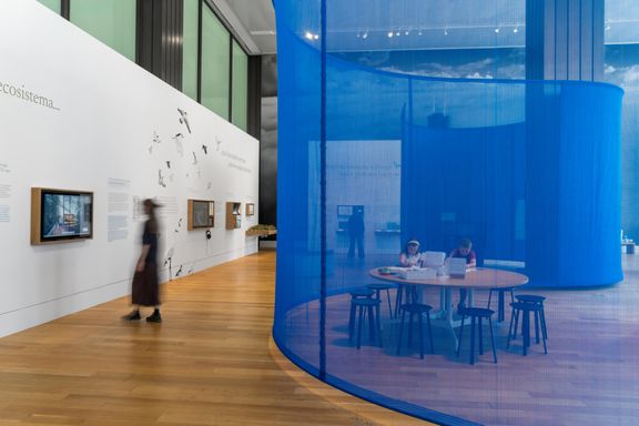 Flyway City: Architecture for a Flourishing Ecosystem