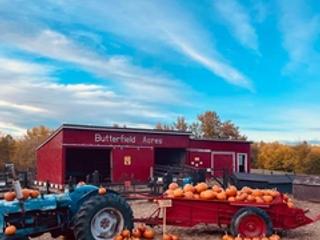 Butterfield Acres Harvest Pumpkin Festival