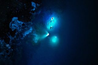 Golden Hour Glow Snorkel: Snorkel With Sea Turtles