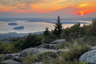 Brewed Awakening Cadillac Mountain Sunrise Tour