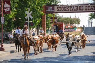 Stockyards Foodie Tour with Food Tours of America
