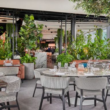 Angelica & Crafthouse