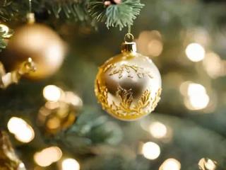The Joy of Giving Happens Here: MarketFair Wish Tree ✨🎄