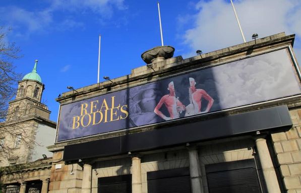 Real Bodies