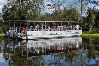 Guided Boat Tour of New Orleans Bayou