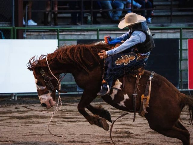 Jackson Hole Rodeo