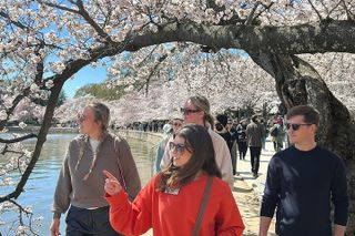 Celebrate 250th: National Mall Tour + Washington Monument Tickets
