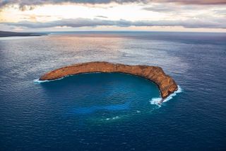Molokini Snorkel + Kids Go FREE! (Two Snorkel Spots)