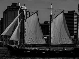 Ghosts of Halifax Cruise
