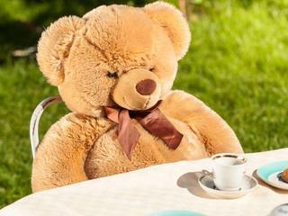 Teddy Bear Tea at the Museum