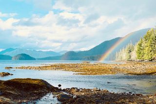 Ketchikan Electric Bike and Rain Forest Hike Ecotour