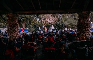 Jazz in the Garden