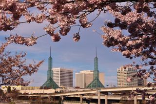 Portland Afternoon City Tour