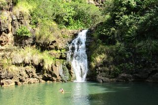 Ko Olina to North Shore: Waimea Falls, Snorkel & Dole Plantation