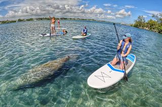 Paddle Boarding Eco Adventure Tour Jupiter Florida - Singer Island