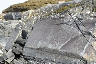 Wrangell E-Bike and Hike Adventure
