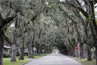 St. Augustine Hop-On Hop-Off Trolley Tour