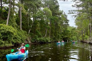 Roanoke Island Kayak Tour