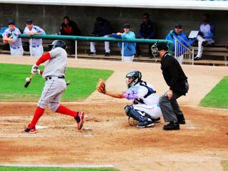 Charleston RiverDogs at Myrtle Beach Pelicans