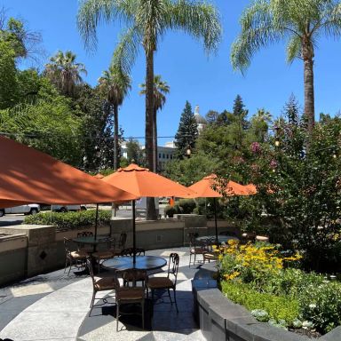 Vines Cafe