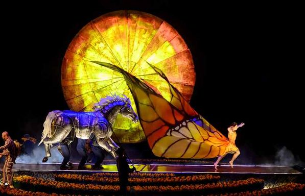 Cirque du Soleil - Luzia