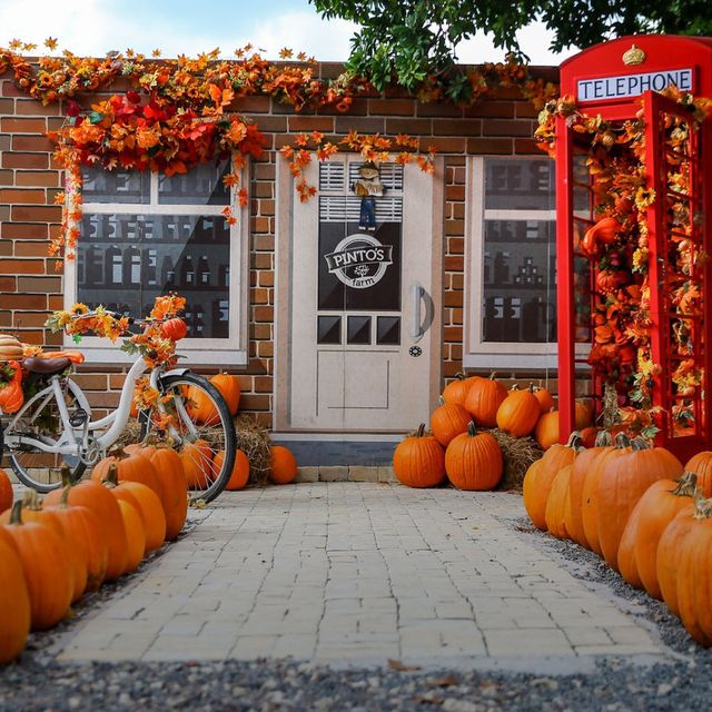 Pumpkin Patch in Miami