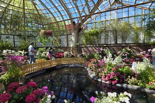 Lincoln Park Zoo & Nature Museum Private Tour