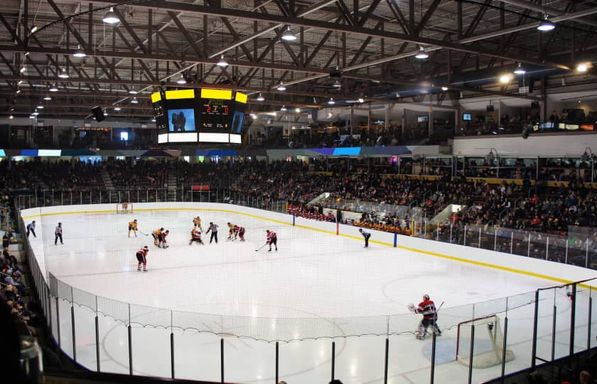 Sarnia Sting at Sudbury Wolves