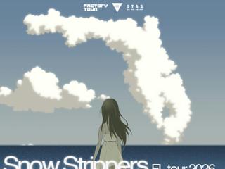 Snow Strippers