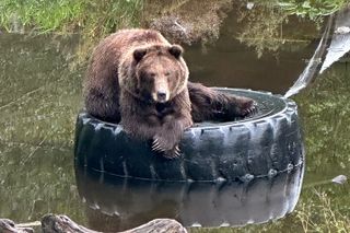 Sitka Scenic Private Tour