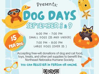 Dog Days at Aquaventure