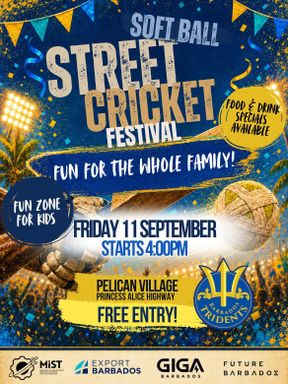 Soft Ball Street Cricket Festival