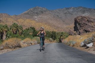 Palm Springs Indian Canyons EBike and Hike
