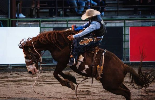 Jackson Hole Rodeo