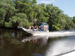 Large Airboat Swamp Tour with Transportation from New Orleans 
