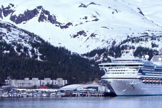 Anchorage to Seward Cruise Transfer & Wildlife Tour