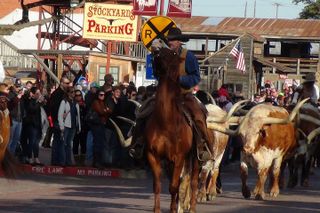 Dallas & Fort Worth Combo City Sightseeing Tour Small-Group