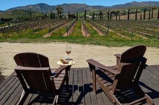 Border Pickup & Drop off: Private Valle de Guadalupe Tour